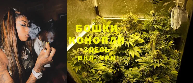 Марихуана White Widow  как найти   Кяхта 